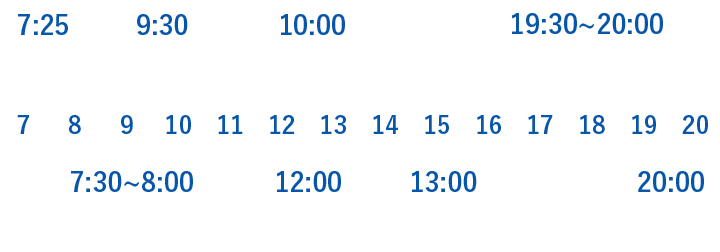 1DAYスケジュール（例）